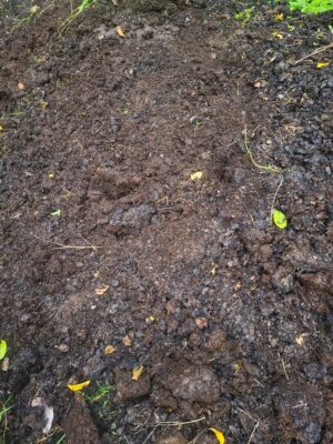 whatsapp image 2026 02 04 at 17.18.30