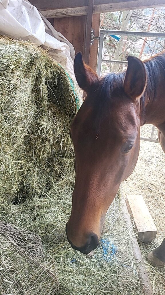 whatsapp image 2026 03 13 at 07.05.59